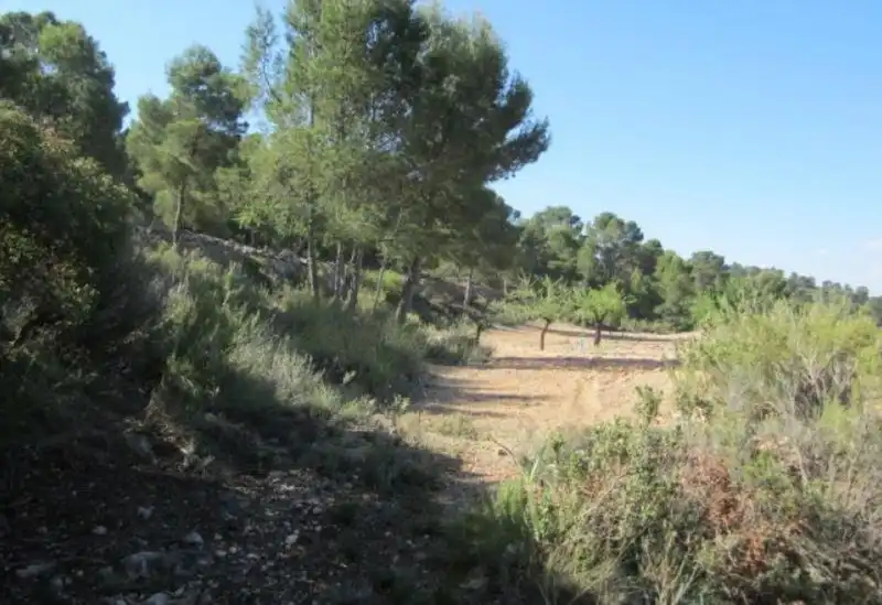 Terrenys i solars en venda a Abanilla, imagen 7