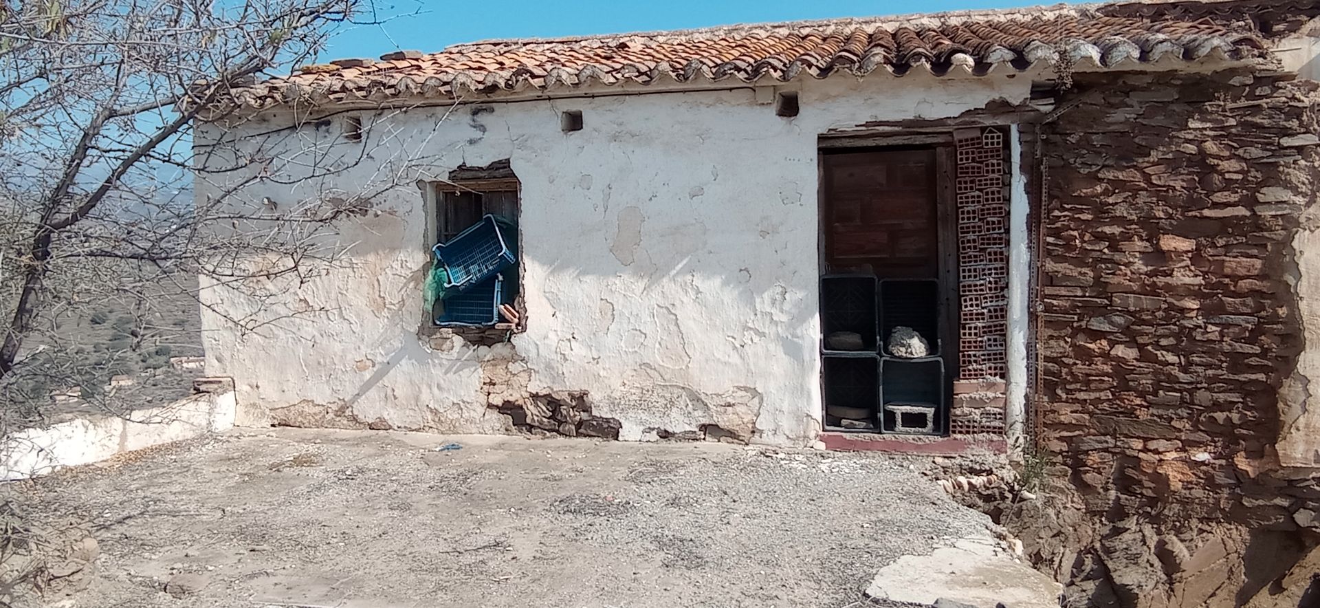 Vista exterior de Finca rústica en venda en Torrox