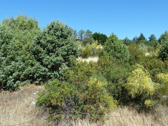 Terreno residencial en Venta en Robledo de Chavela