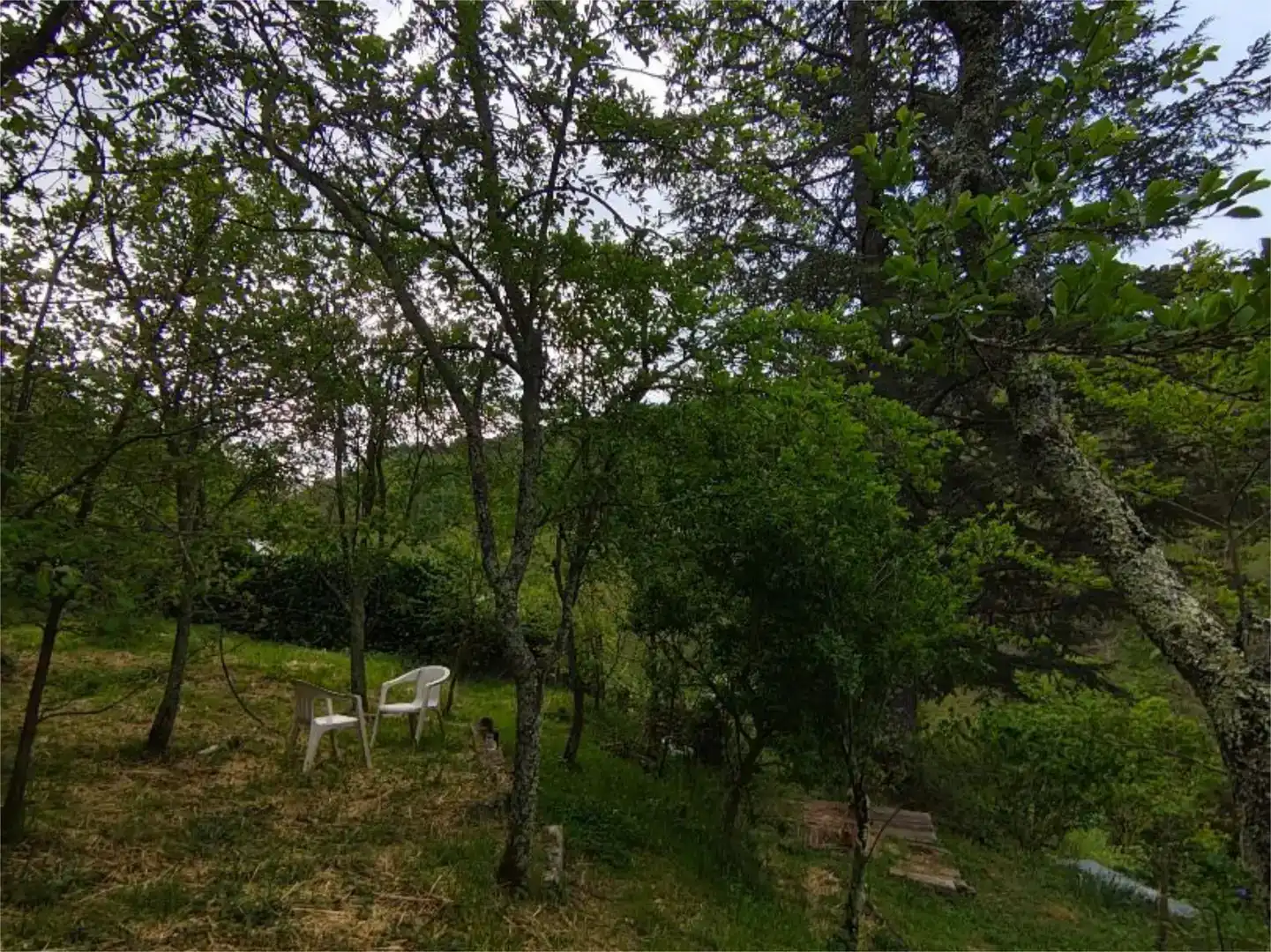 Jardín de Piso en venta en Molló con Jardín privado y Amueblado
