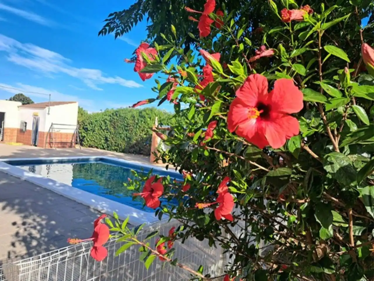 Piscina de Casa o chalet en venta en Carmona con Aire acondicionado, Calefacción y Jardín privado
