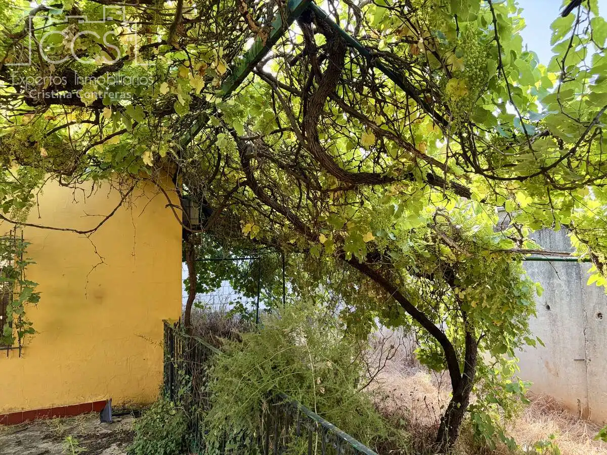 Jardí de Casa o xalet en venda en Mairena del Alcor amb Aire condicionat, Traster i Piscina