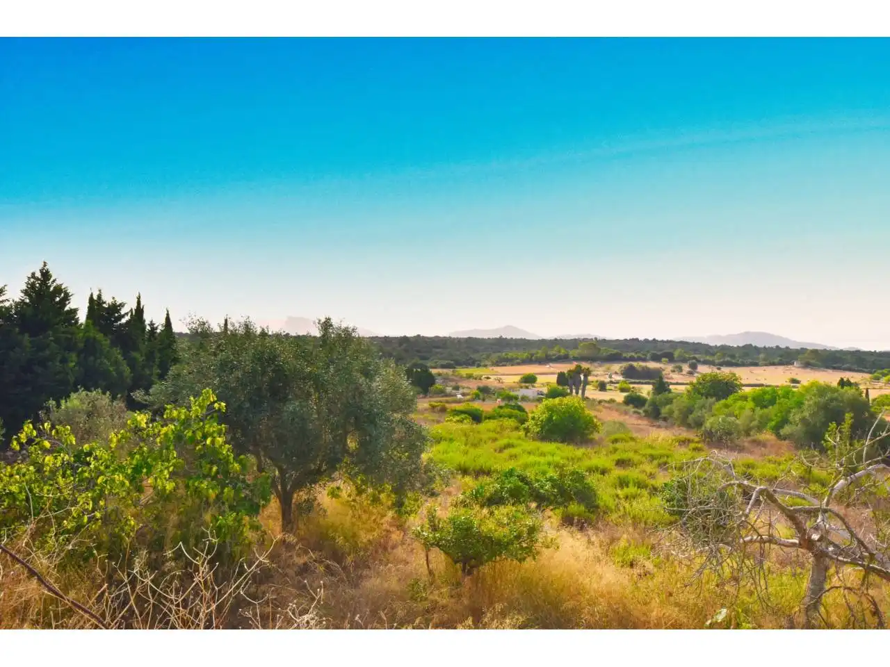 Finca rústica en venda en Santa Margalida amb Aire condicionat, Calefacció i Jardí privat