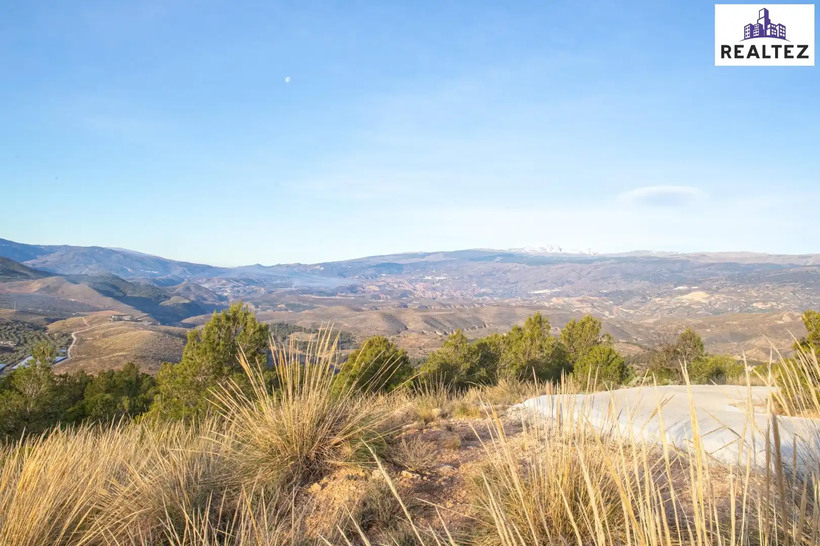 Terrain rustique à vendre à Alcolea, imagen 15
