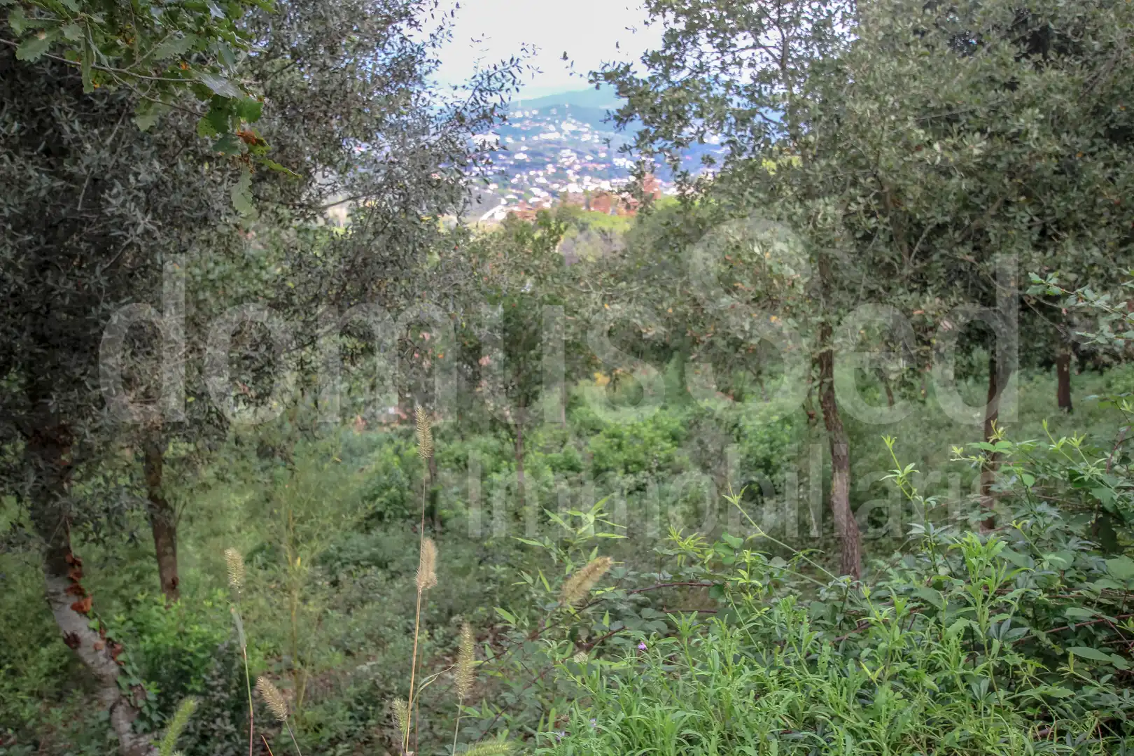 Wohnbaugrundstück zum Verkauf in Vallromanes, imagen 14