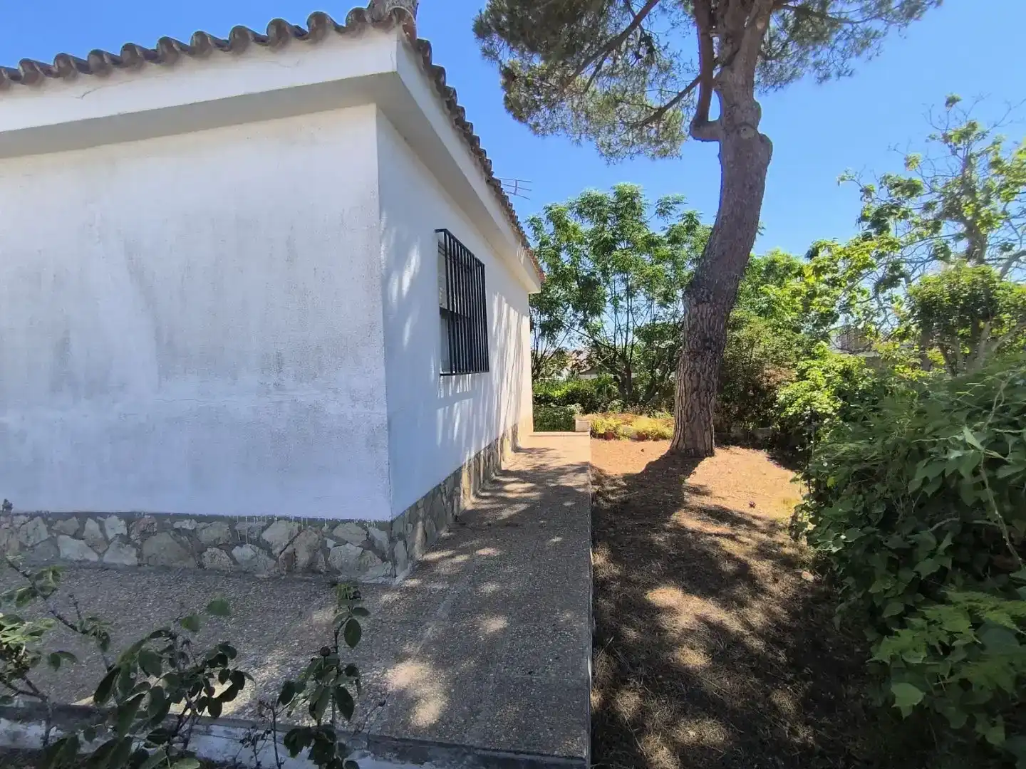 Vista exterior de Piso en venta en Almonte con Jardín privado, Trastero y Amueblado