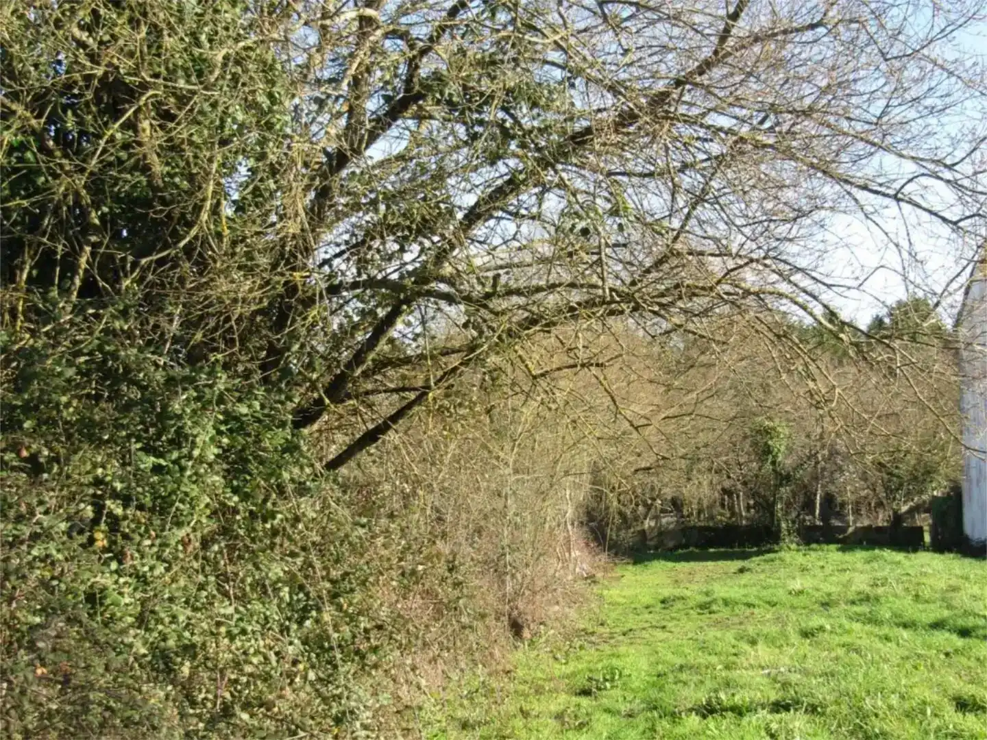 Terreno en venta en Rábade