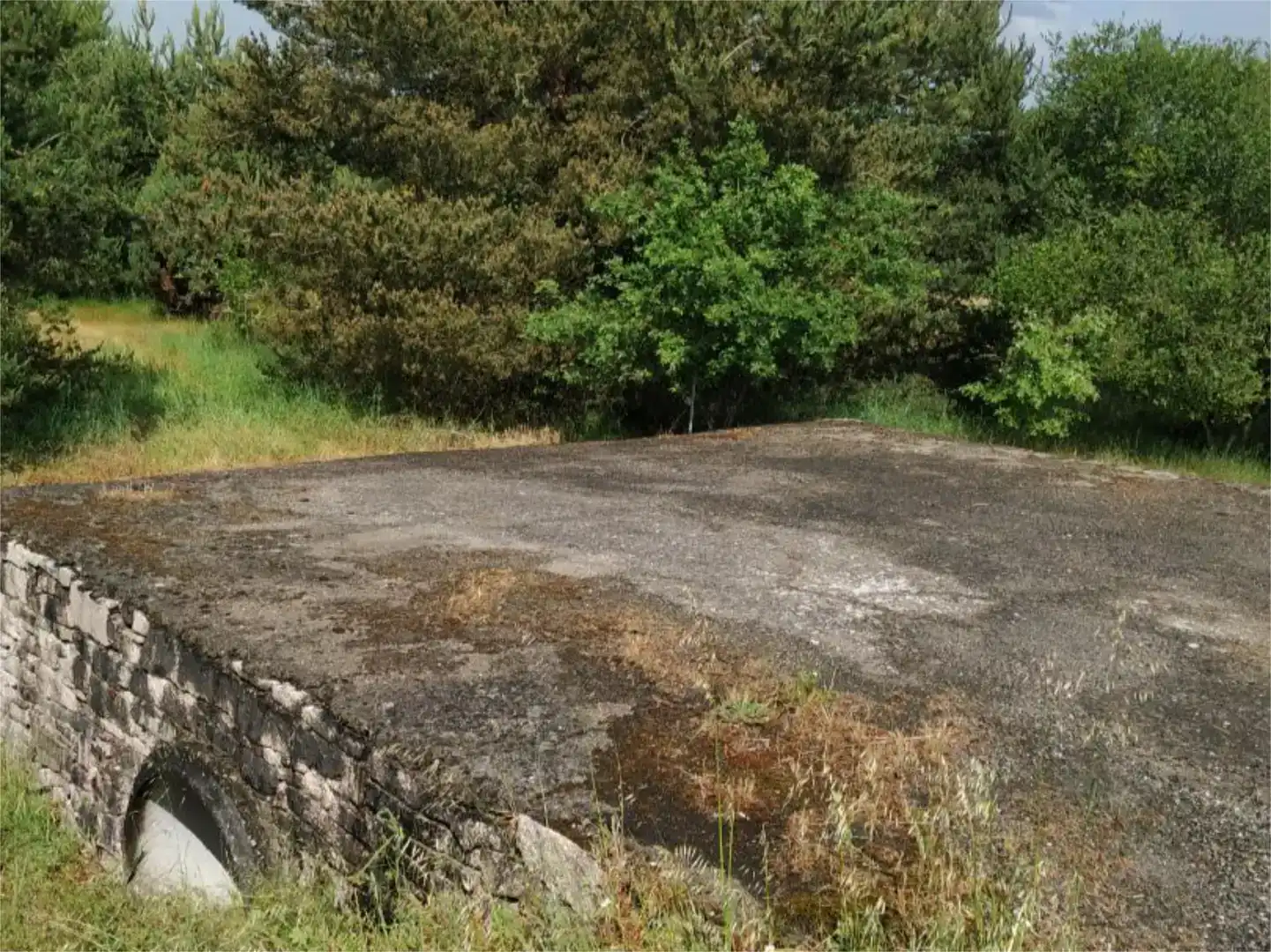 Land for sale in Sandiás