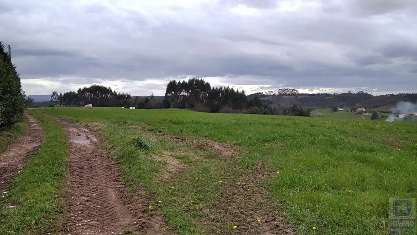 Grundstücke zum Verkauf in Carreño