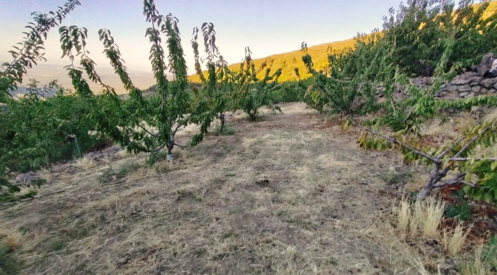 Terrain rustique à vendre à Avenida Extremadura 72, imagen 15
