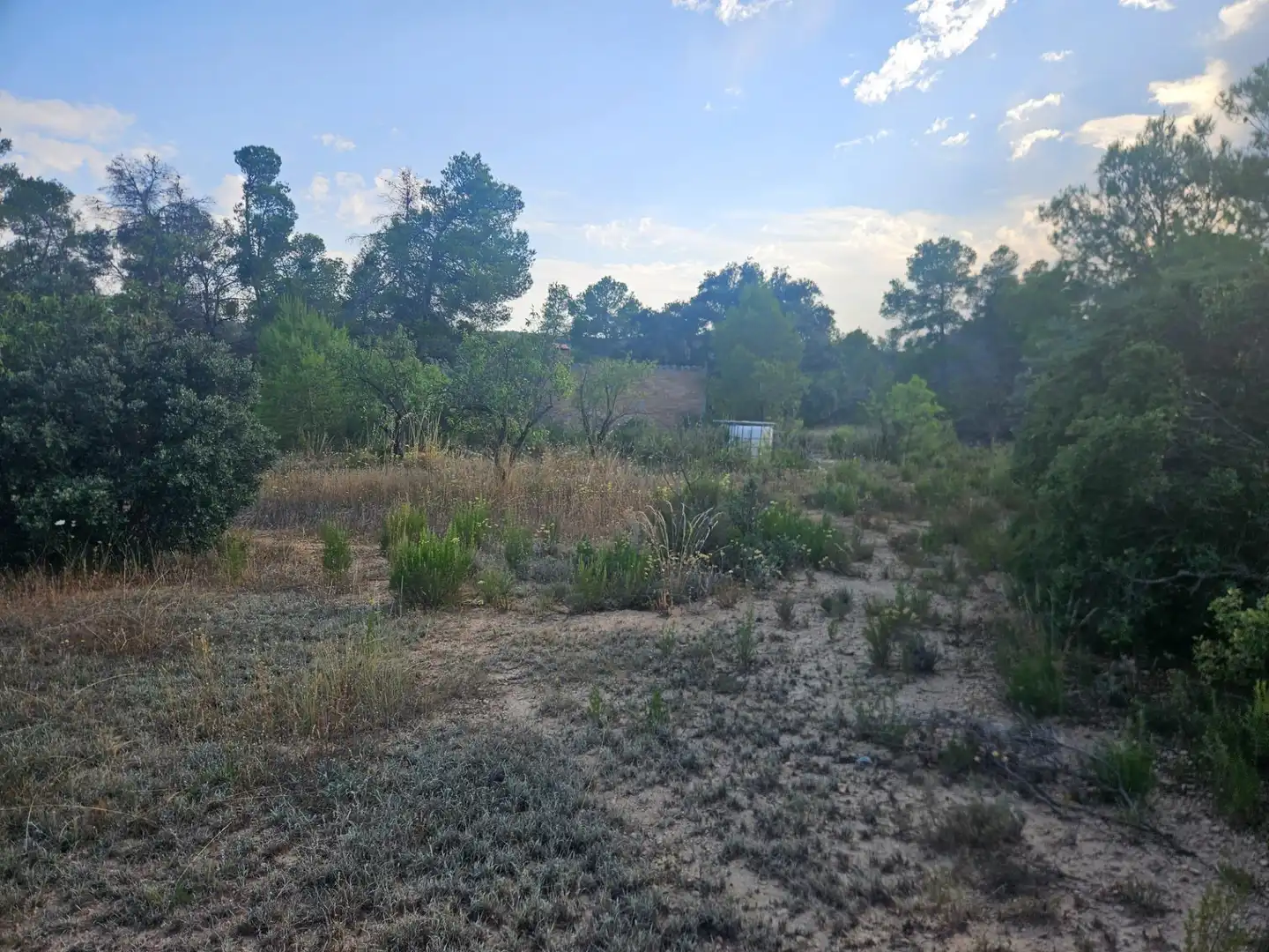 Land for sale in La Pobla de Cérvoles