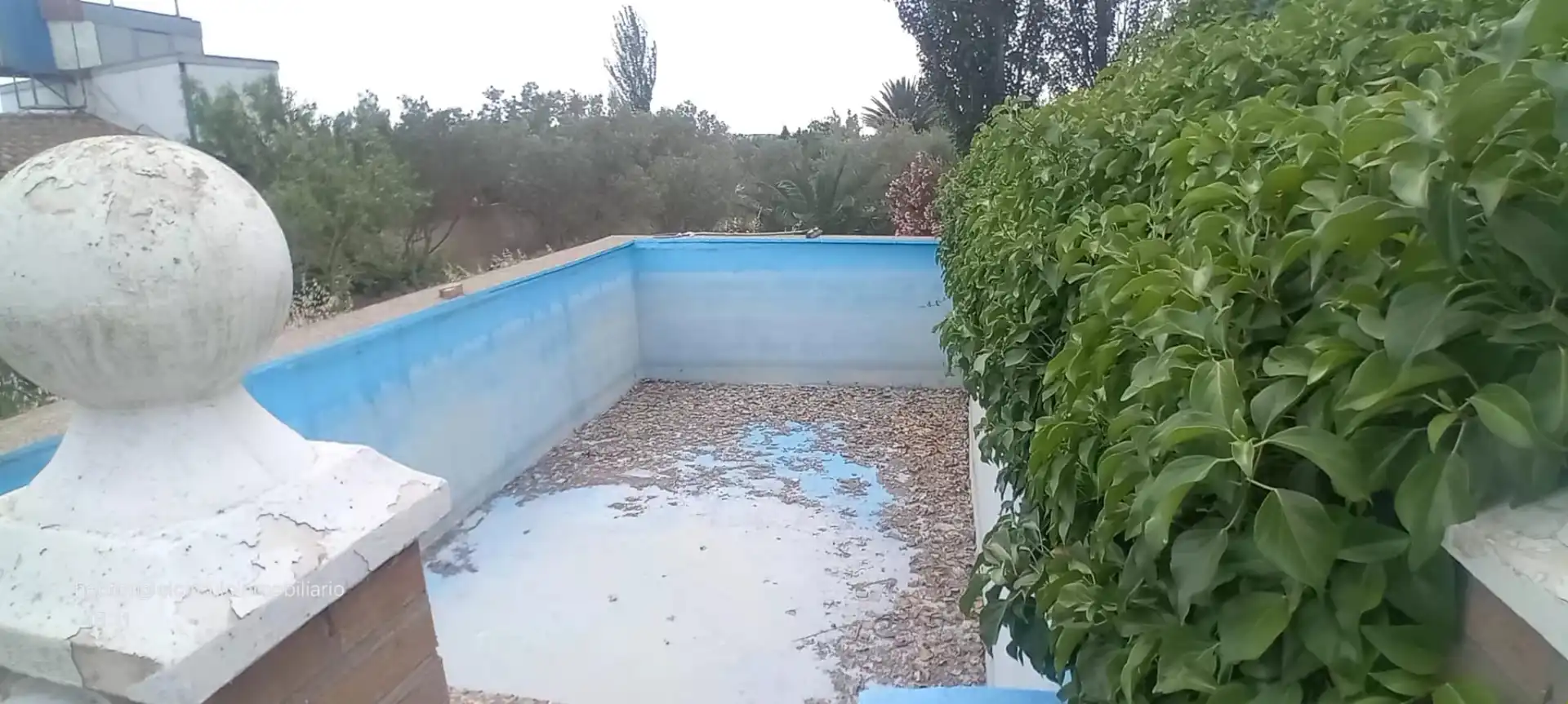 Piscina de Finca rústica en venda en Alfajarín amb Calefacció, Jardí privat i Terrassa
