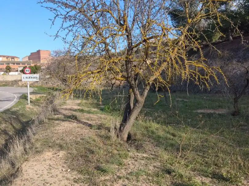 Terreny rústic en venda a Eres 0, imagen 22