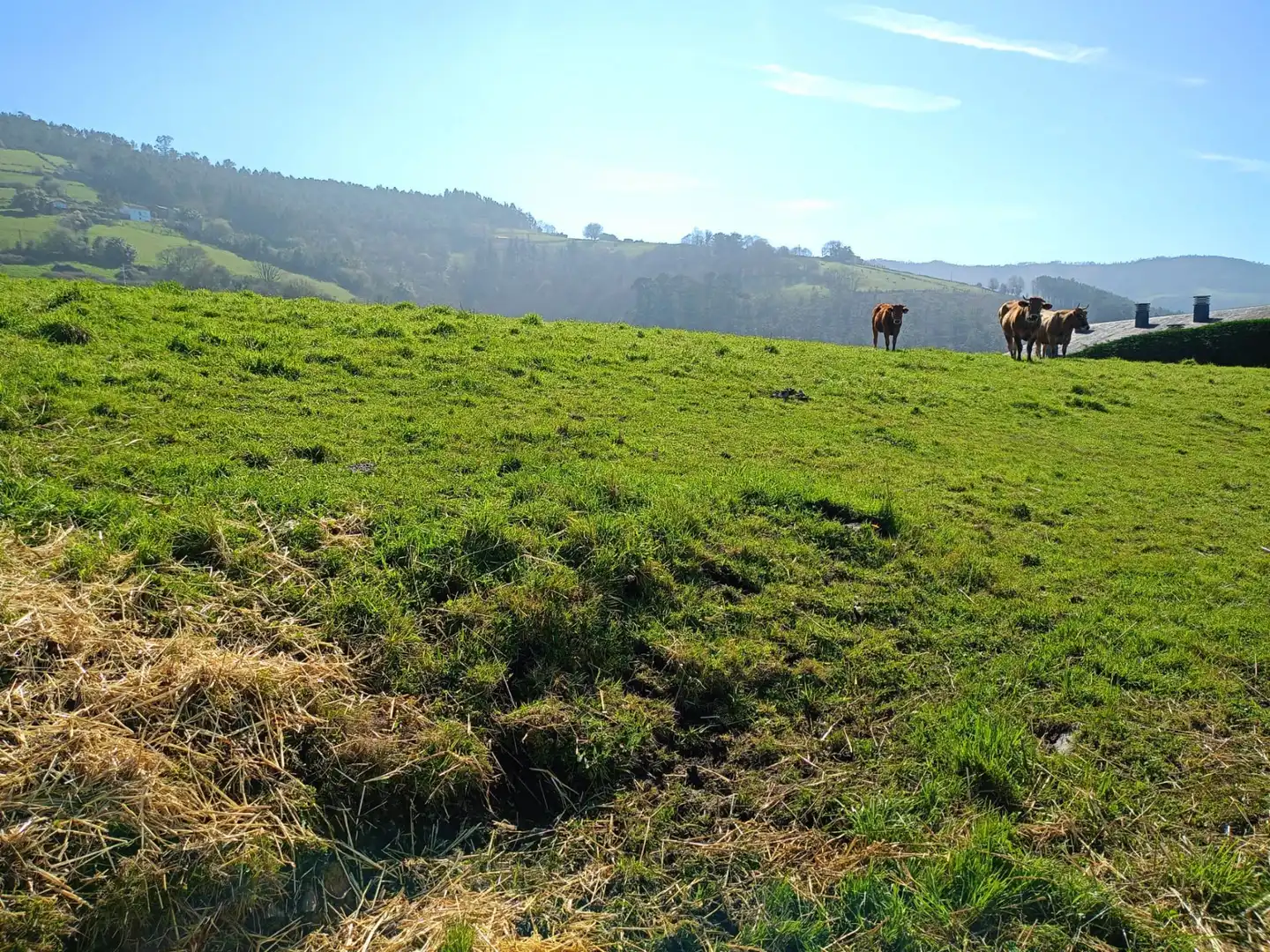 Grundstücke und Bauplätze zum Verkauf in Valdés - Luarca, imagen 3