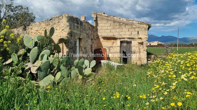 Finca rústica en Venta en Sa Pobla
