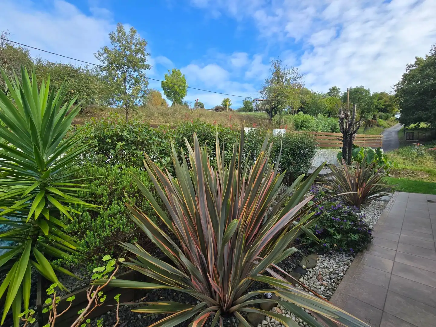Maison avec jardin à vendre à Ribadesella, imagen 39