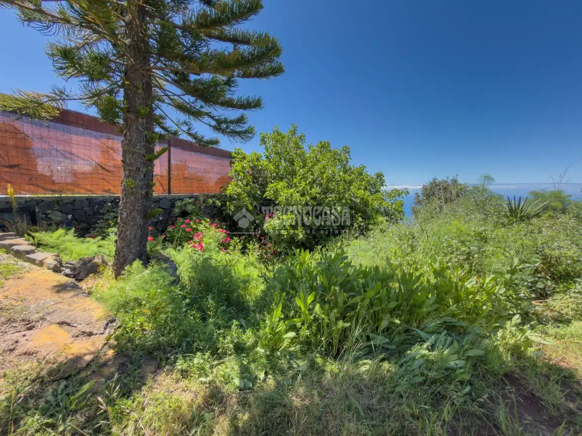Land for sale in Icod de los Vinos