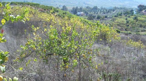 FINCA PARCELA EN VENTA EN ALORA, immagine 4