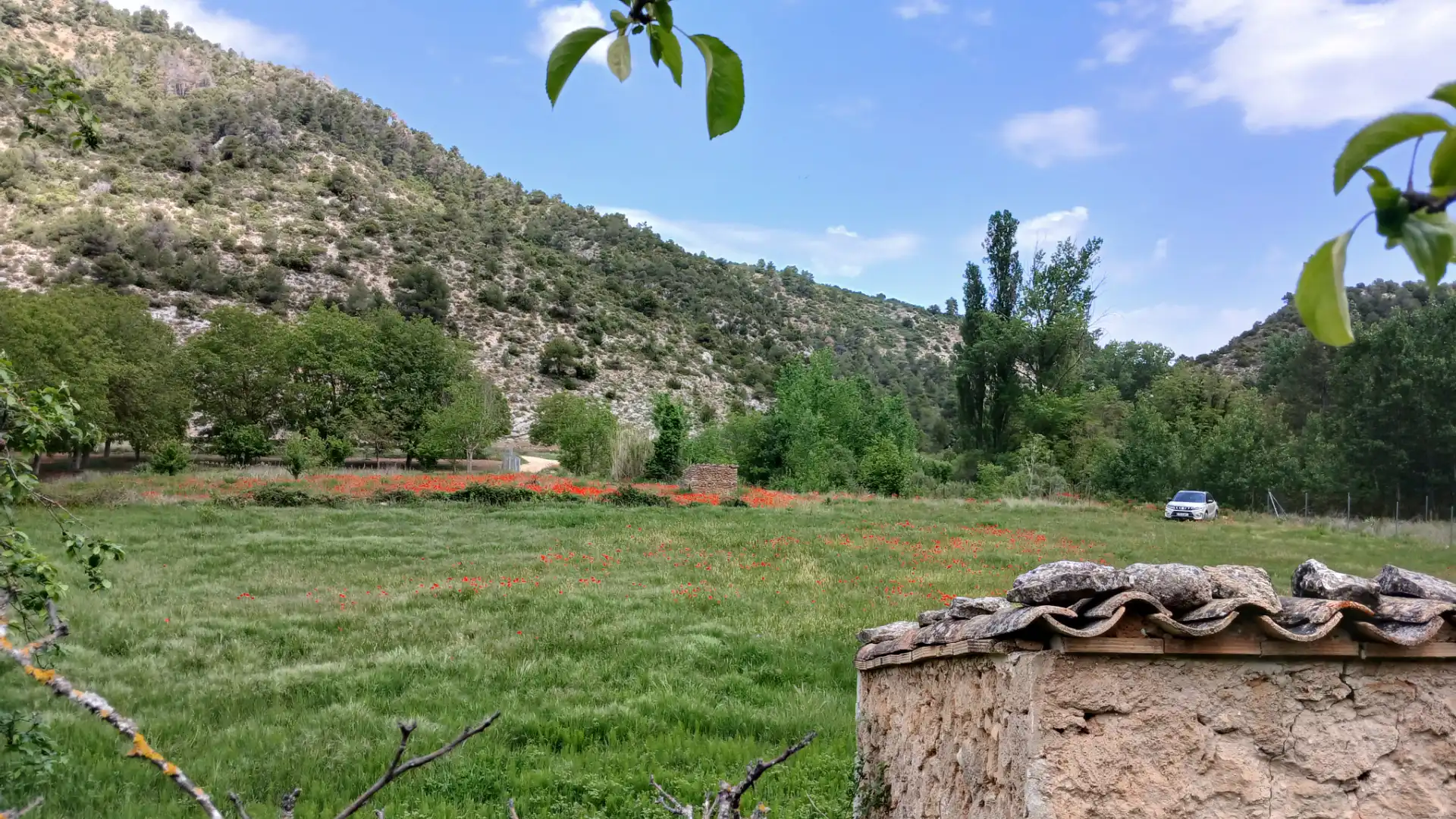 Land for sale in Beceite