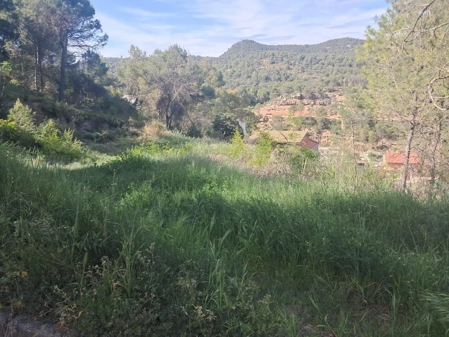 Terrenys i solars en venda a La Pobla de Claramunt, imagen 3