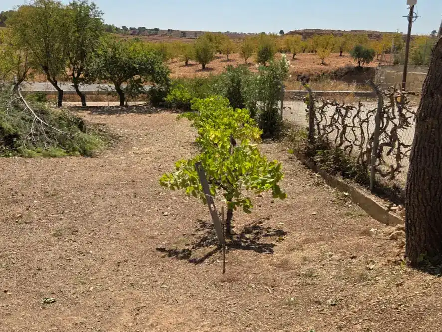 Jardín de Terreno en venta en Cenizate