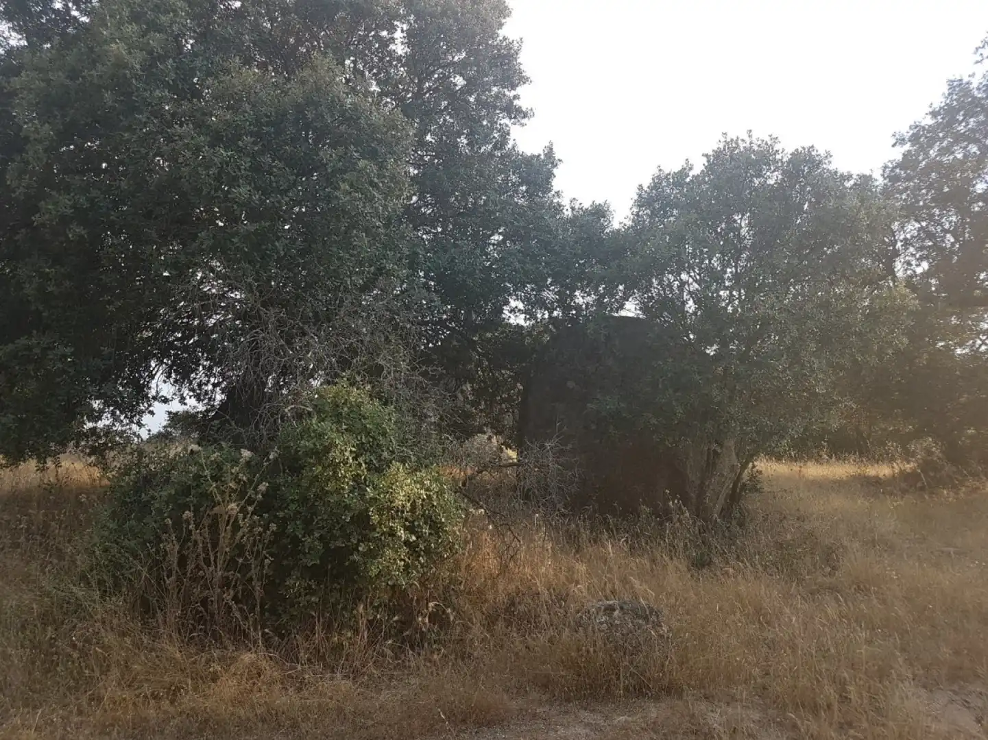 Terreni e lotti in vendita a Esparragalejo, imagen 2