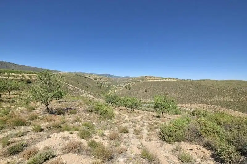 Terreny rústic en venda a Villamena, imagen 41