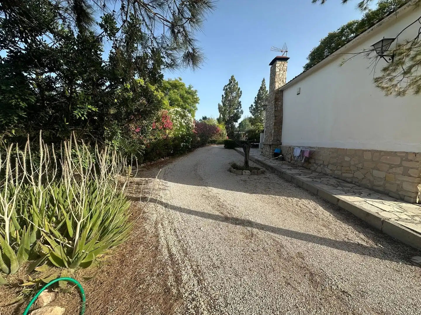 Vista exterior de Casa o xalet en venda en Monóvar  / Monòver amb Jardí privat