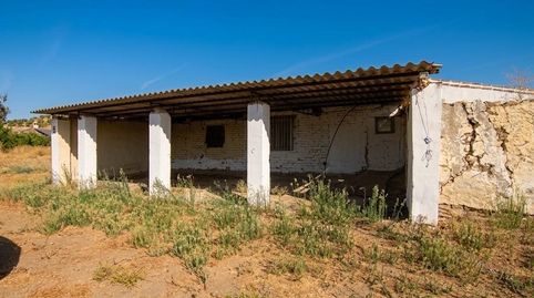 EXCLUSIVA FINCA RÚSTICA DE 7.500 M2 CON 292 M2 CONSTRUIDOS, PRIVACIDAD Y VISTAS DESPEJADAS EN COÍN, imagen 3
