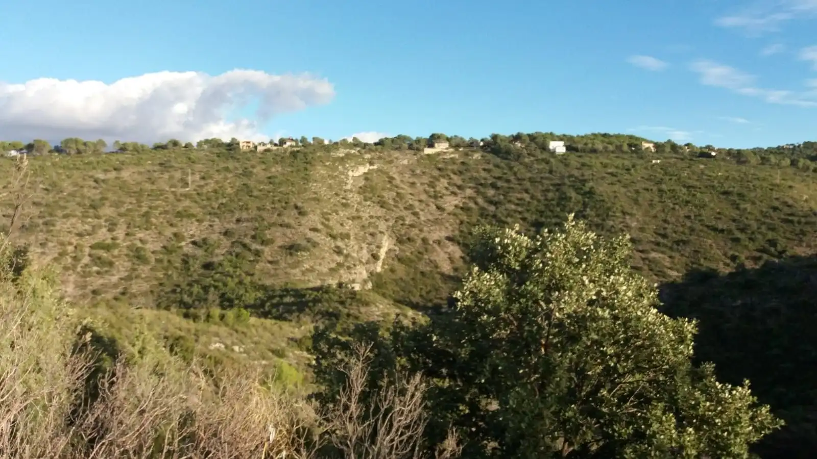 Casa o xalet en venda a Albalate de Zorita