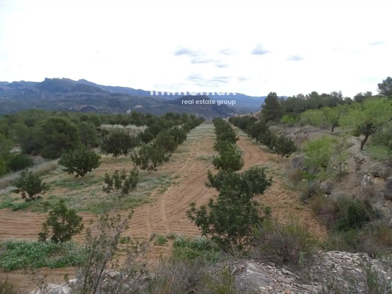 Villa à vendre à Xerta, imagen 2