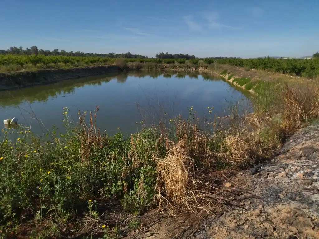Terreno en venta en Campo Lugar