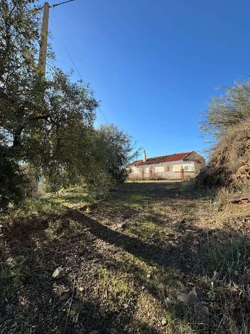 Casa o chalet en venta en Colmenar con Jardín privado