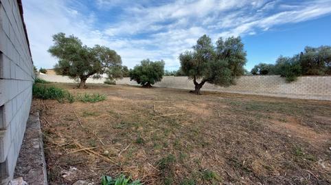 Photo 3 of Residential for sale in Urbanizacion del Casquero, 43, Arco Norte - Avda. España, Sevilla