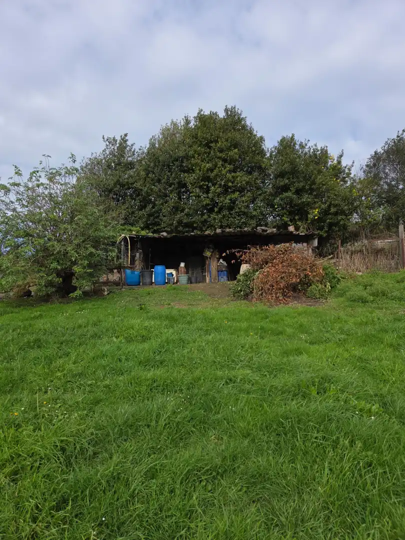 Jardín de Terreno en venta en Carreño