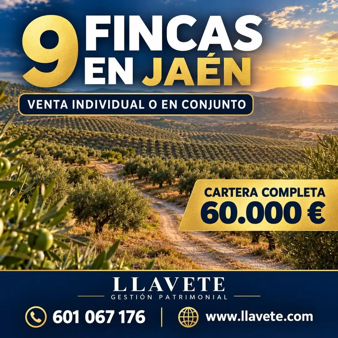 Rural land for sale in Puente Tablas - Puente Nuevo - Cerro Molina, imagen 7