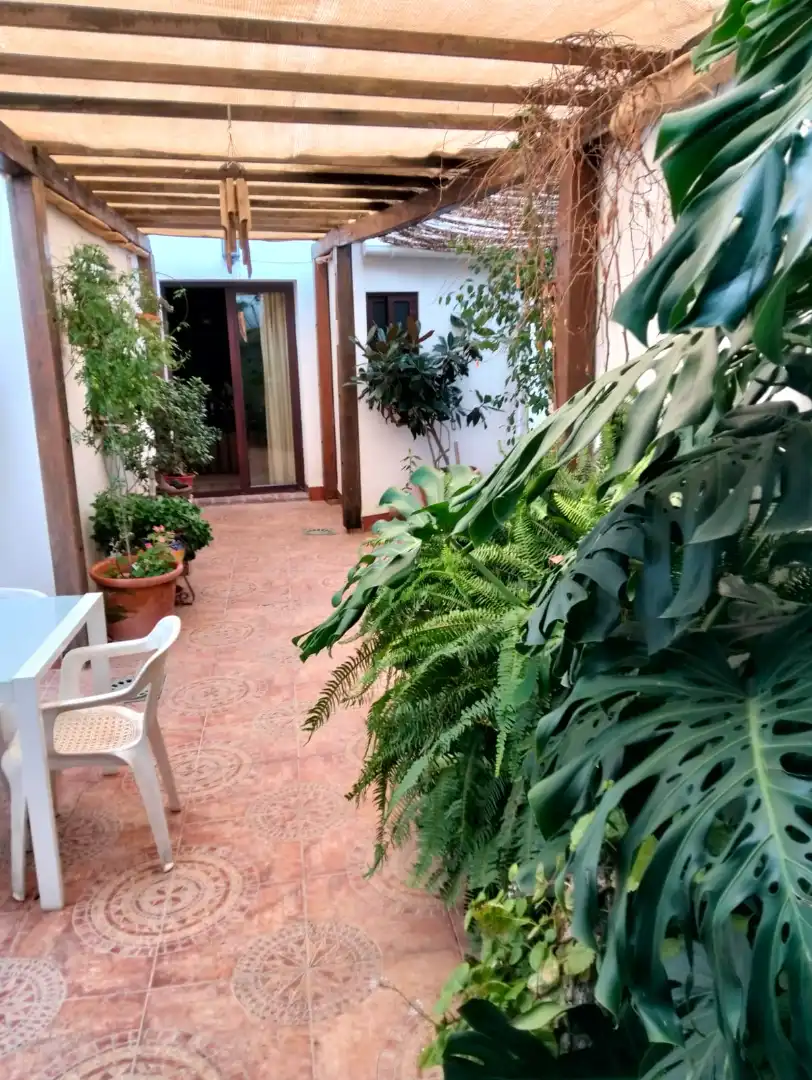 Jardí de Casa o xalet en venda en Las Navas de la Concepción amb Terrassa i Moblat