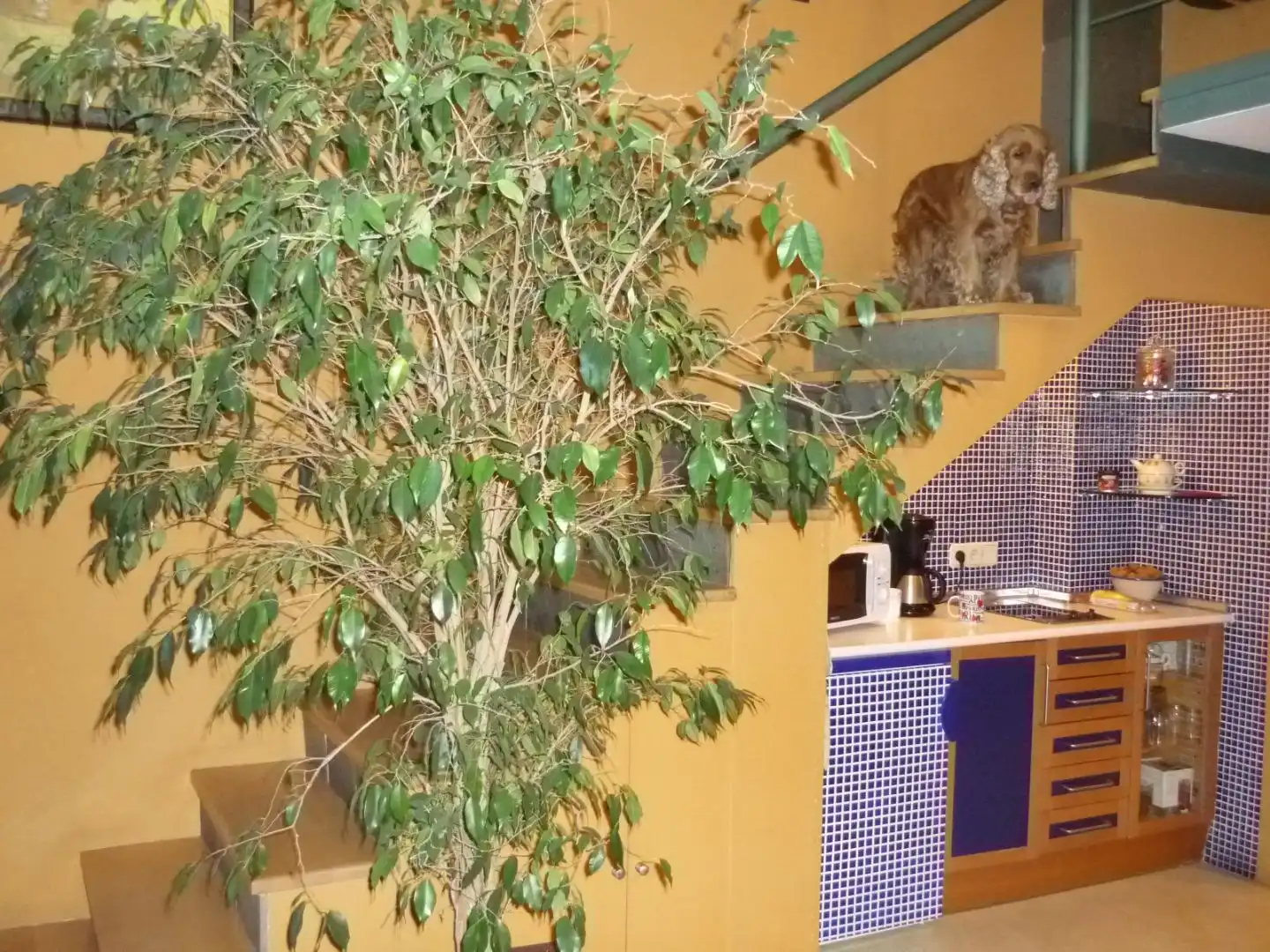 Büro zur Miete in Madrid mit Klimaanlage, Heizung und Möbliert