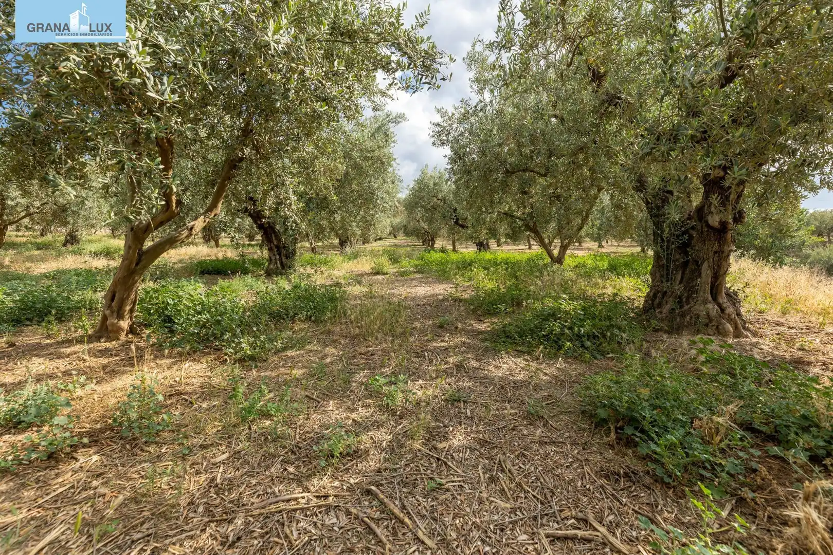 Terreno rustico in vendita a Calle POL 1, PARC 176, imagen 9