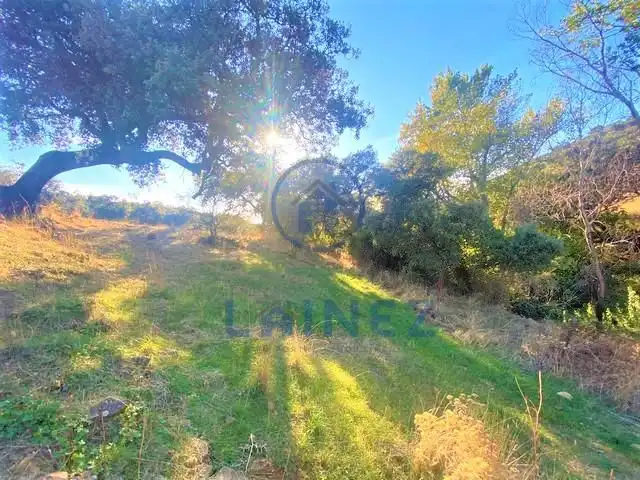 Lands and plots for sale in Fuente Obejuna, imagen 12