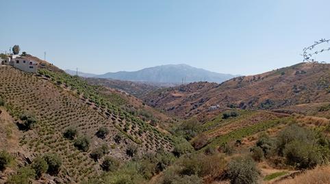 Foto 4 de Finca rústica en venda a Avenida Manuel España Lobo, 18, Almáchar, Málaga
