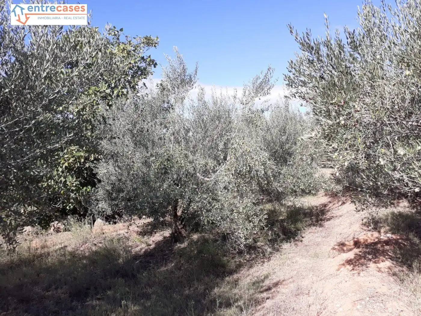 Terreno rustico in vendita a Segorbe, imagen 27