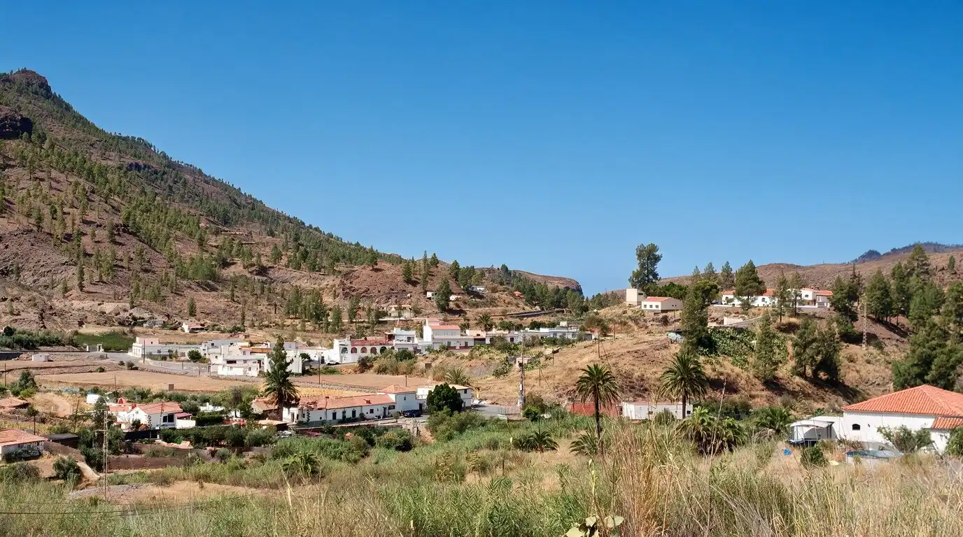 Vista exterior de Finca rústica en venda en San Bartolomé de Tirajana amb Jardí privat