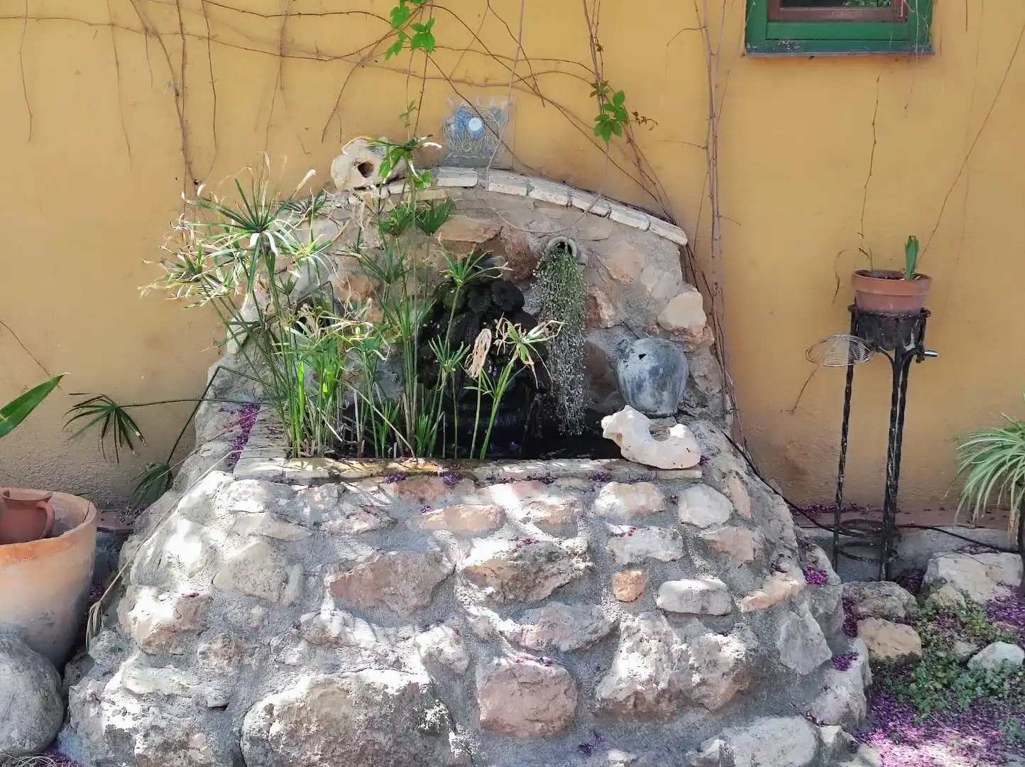 Jardí de Finca rústica en venda en Vallmoll
