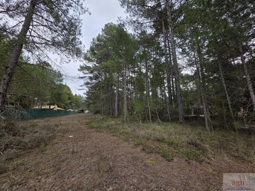 Terreno residencial en venta en Trillo