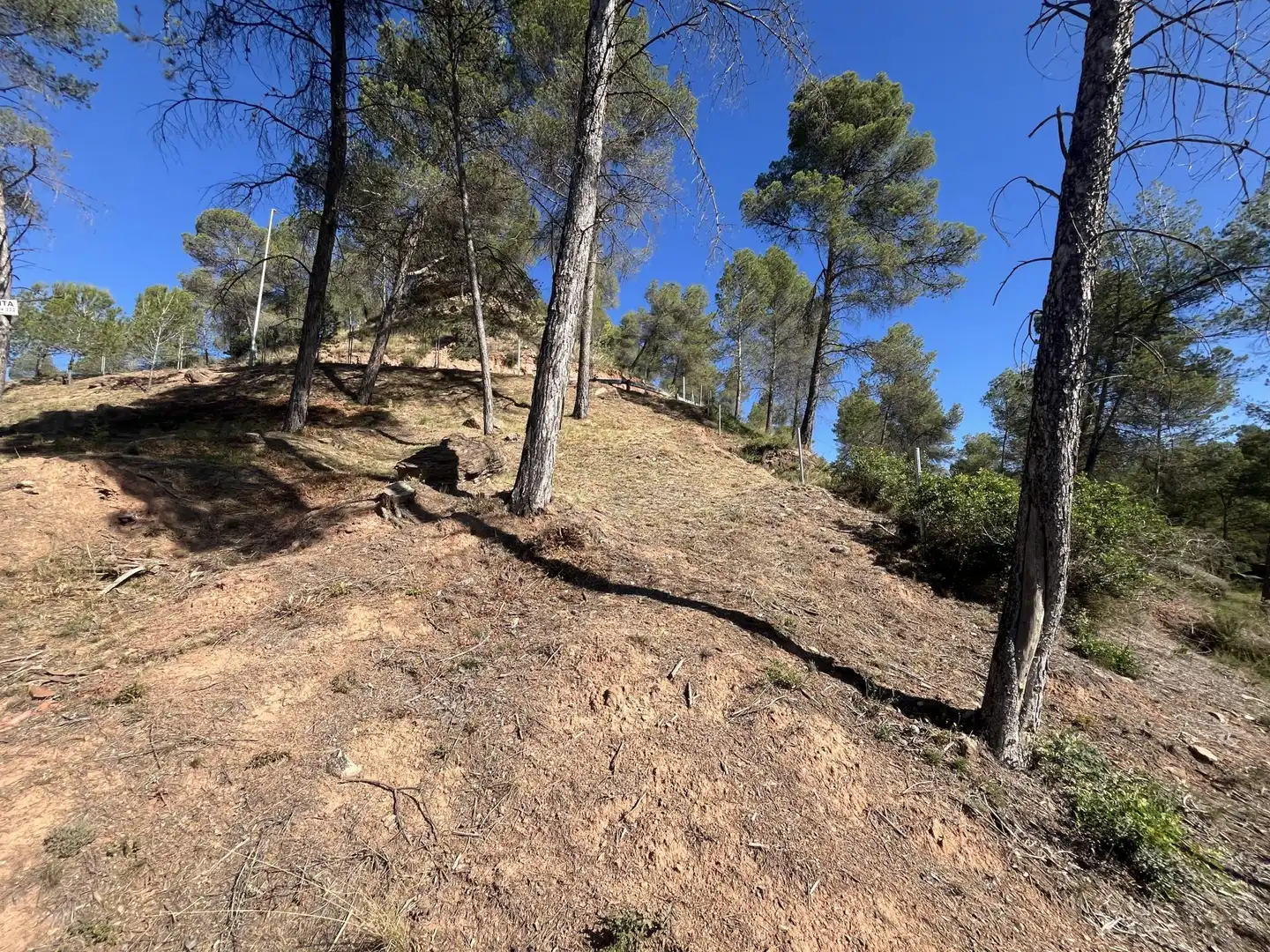 Wohnbaugrundstück zum Verkauf in del Boso 5, imagen 4