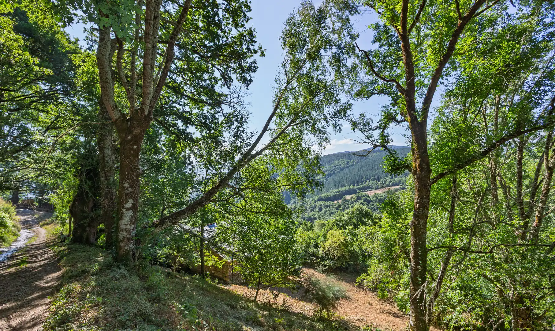 Finca rústica en venda en Becerreá