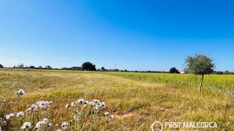 Foto 3 de Terreno en venta en Cala Ferrera - Cala Serena, Felanitx