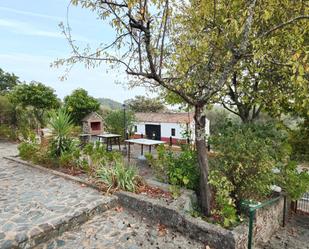 Garden of Country house for sale in Almonaster la Real