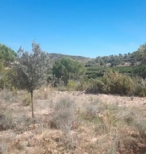 Country homes for sale in Bugarra